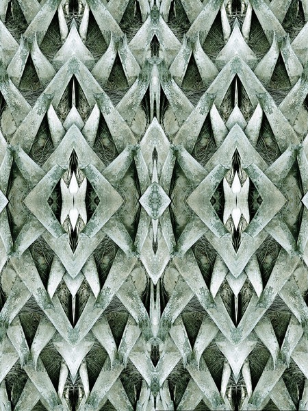 Palm Tree, printed on Ultrasmooth Fine Art Paper